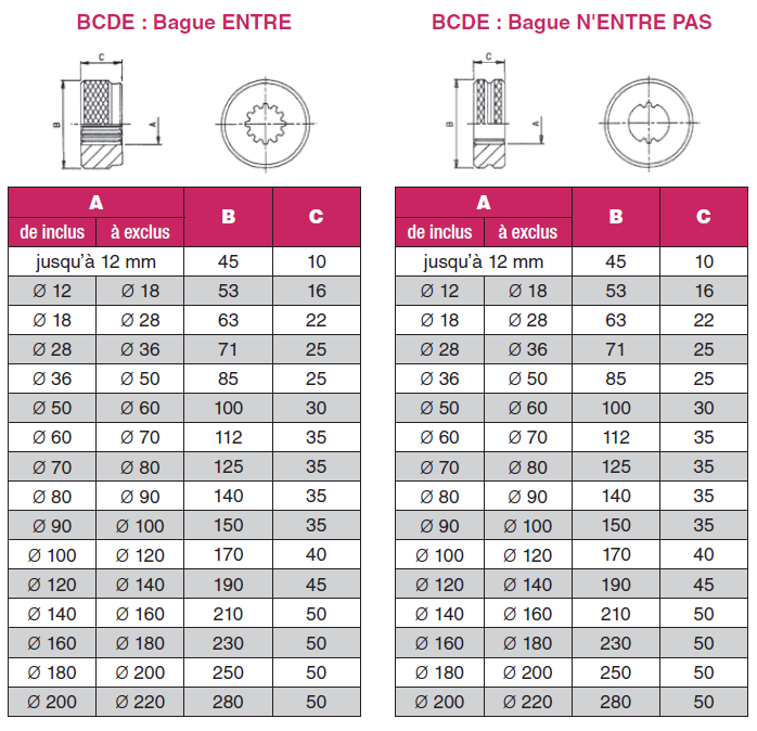 bague-cannele-developpante bague-cannele-developpante