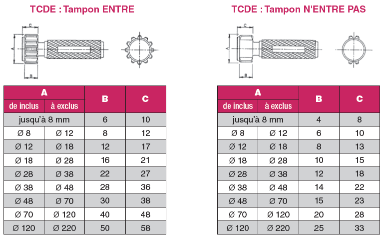 tampon-cannele-developpante tampon-cannele-developpante