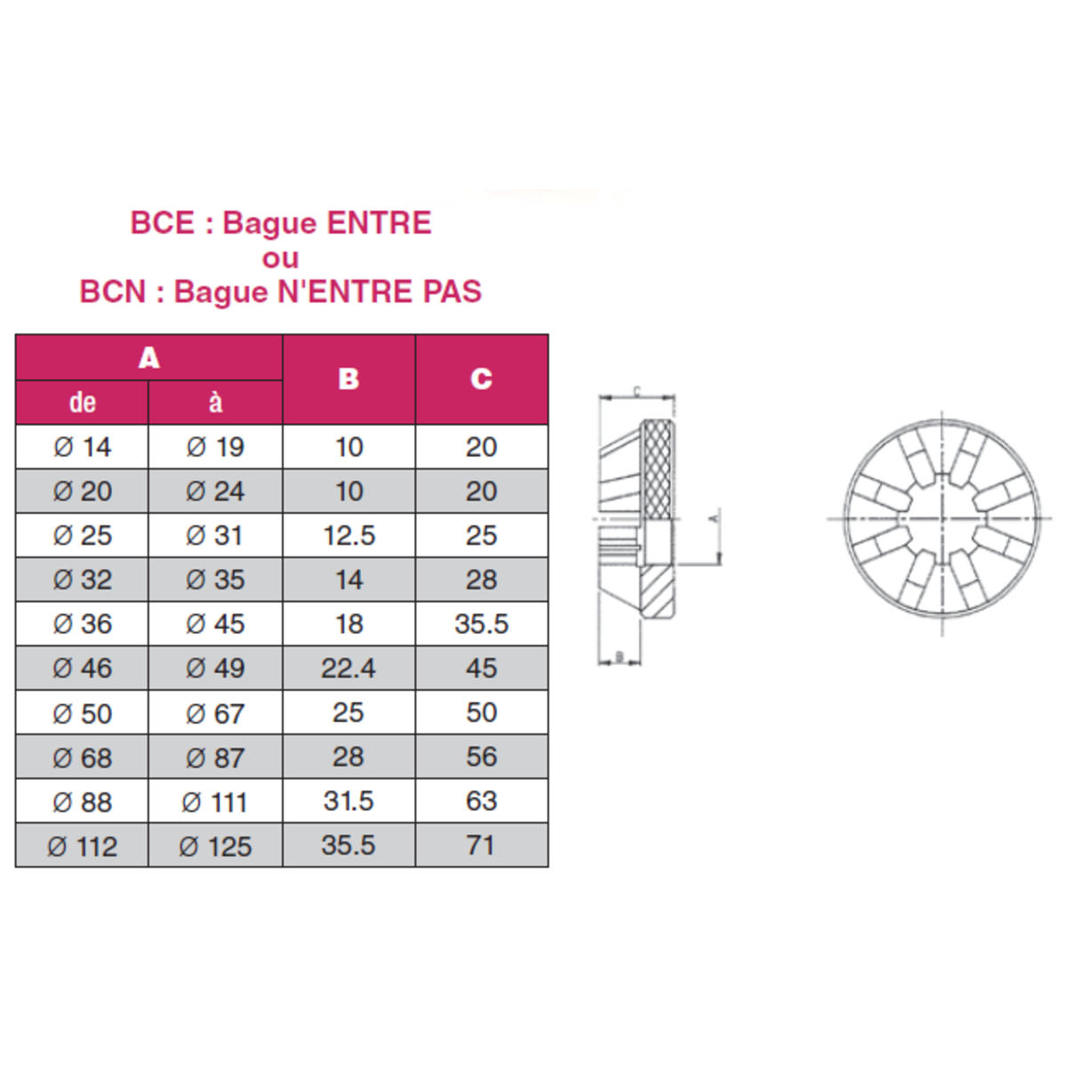 bague-cannele-flancs-droits